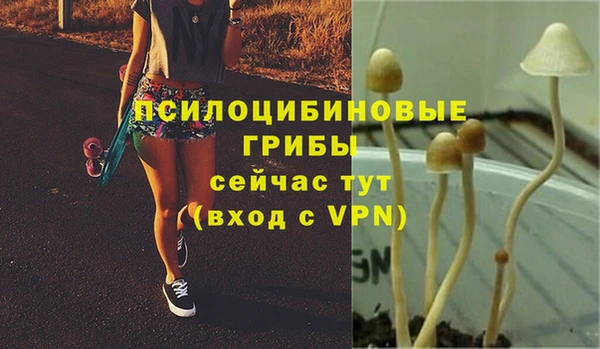 гашик Верхнеуральск