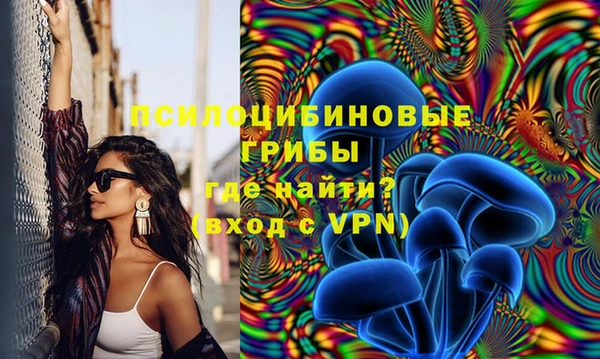 гашик Верхнеуральск