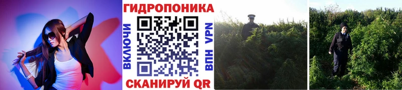Бошки Шишки Ganja Купить закладки Тихорецк